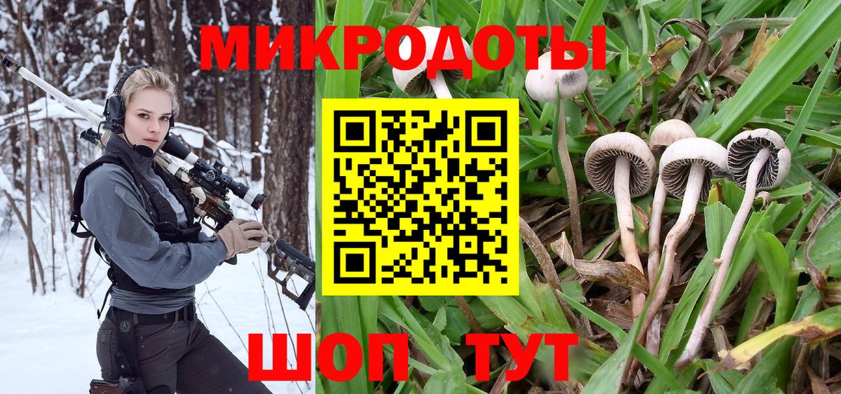 Новороссийск  Галлюциногенные грибы Cubensis  Вход с VPN 