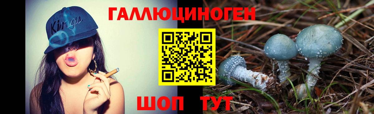 Галлюциногенные грибы GOLDEN TEACHER Новороссийск